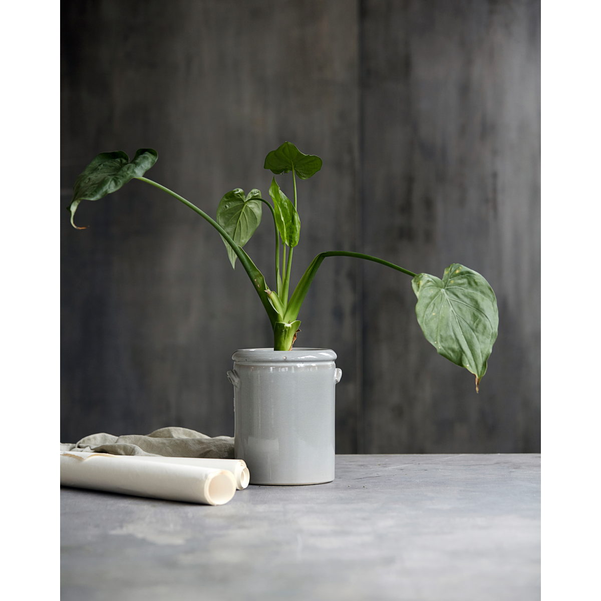 Planter, HDPottery M, Light grey